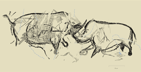 Rhinocros affronts